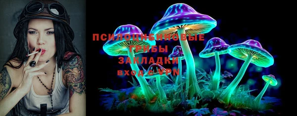 мдпв Беломорск